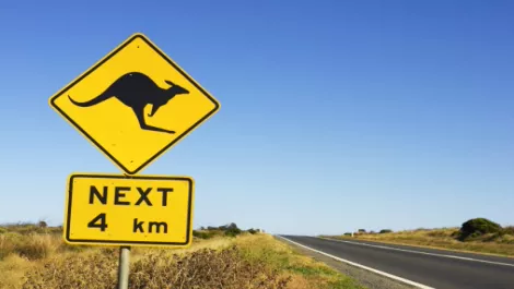 US software firm makes ANZ Progress