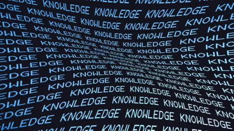 Need for Chief Data Officers set to increase by 25%