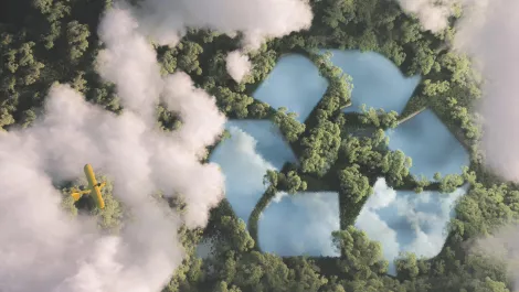 Greening of the network