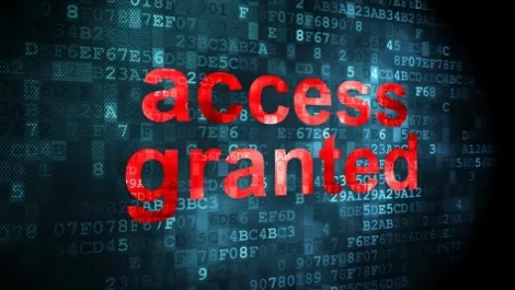 Free enterprise security: Bargain or false economy?