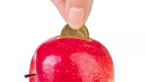 Is Apple saving mobile payments?