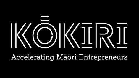 Māori entrepreneurs invited to take part in first govt-supported accelerator programme