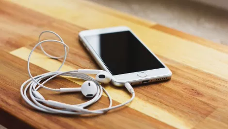 Smartphones losing ground to digital voice assistant devices in homes