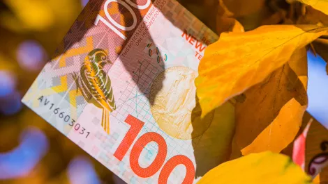NZ's startup ecosystem on a winning streak as investment levels climb - report