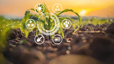 Sensand receives large funding to drive smart farming
